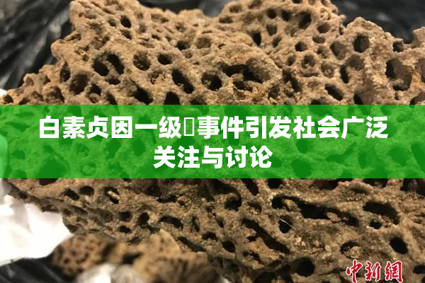 白素贞因一级婬事件引发社会广泛关注与讨论