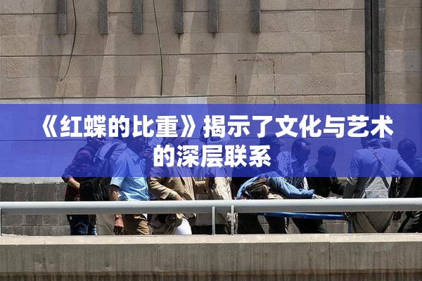 《红蝶的比重》揭示了文化与艺术的深层联系