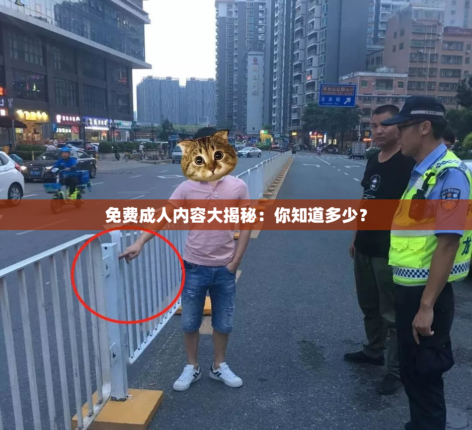免费成人内容大揭秘：你知道多少？
