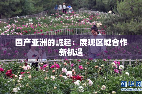 国产亚洲的崛起：展现区域合作新机遇