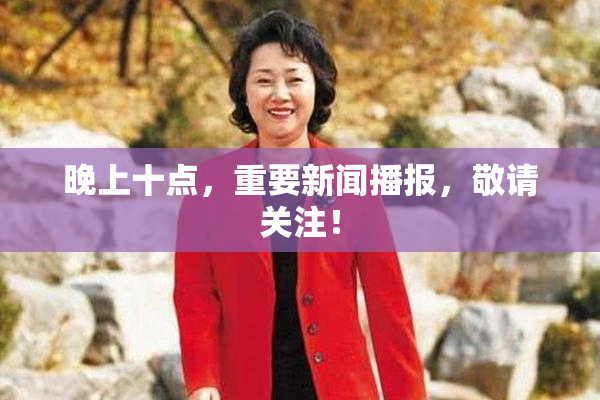 晚上十点，重要新闻播报，敬请关注！