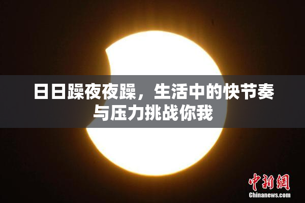 日日躁夜夜躁，生活中的快节奏与压力挑战你我