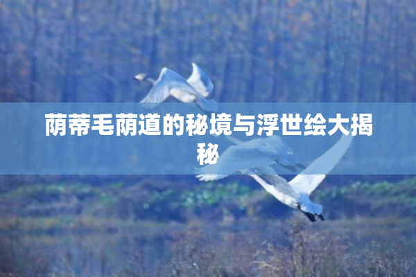 荫蒂毛荫道的秘境与浮世绘大揭秘