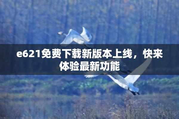 e621免费下载新版本上线，快来体验最新功能