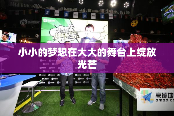 小小的梦想在大大的舞台上绽放光芒