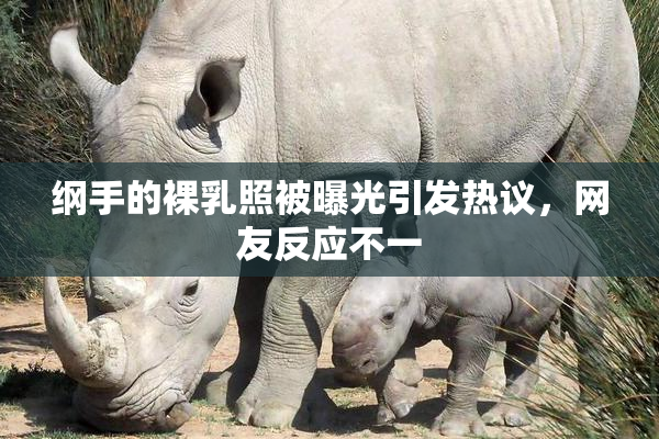纲手的裸乳照被曝光引发热议，网友反应不一