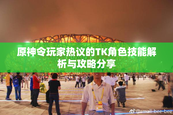 原神令玩家热议的TK角色技能解析与攻略分享