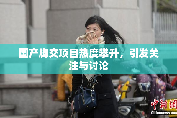国产脚交项目热度攀升，引发关注与讨论