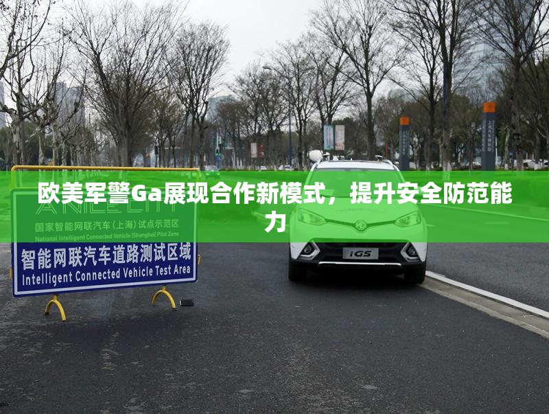 欧美军警Ga展现合作新模式，提升安全防范能力