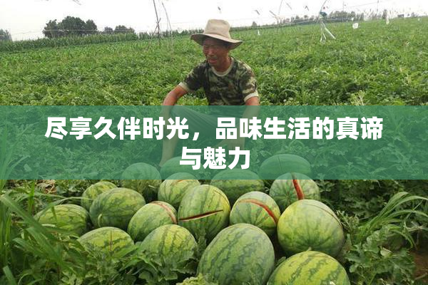 尽享久伴时光，品味生活的真谛与魅力