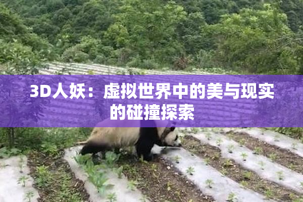 3D人妖：虚拟世界中的美与现实的碰撞探索