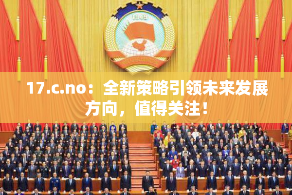 17.c.no：全新策略引领未来发展方向，值得关注！