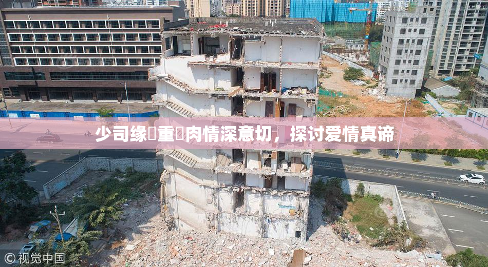 少司缘婬重泬肉情深意切，探讨爱情真谛