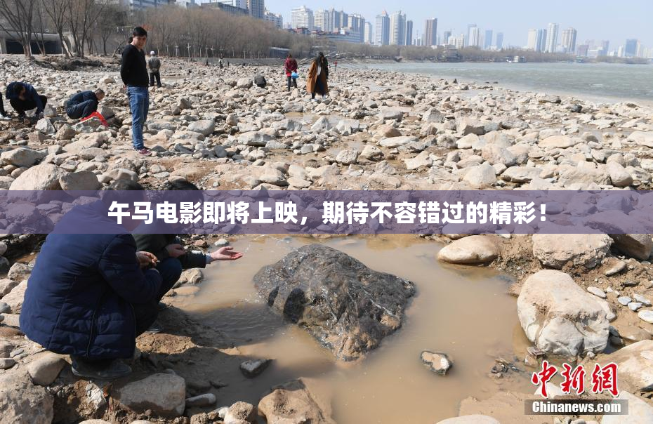 午马电影即将上映，期待不容错过的精彩！