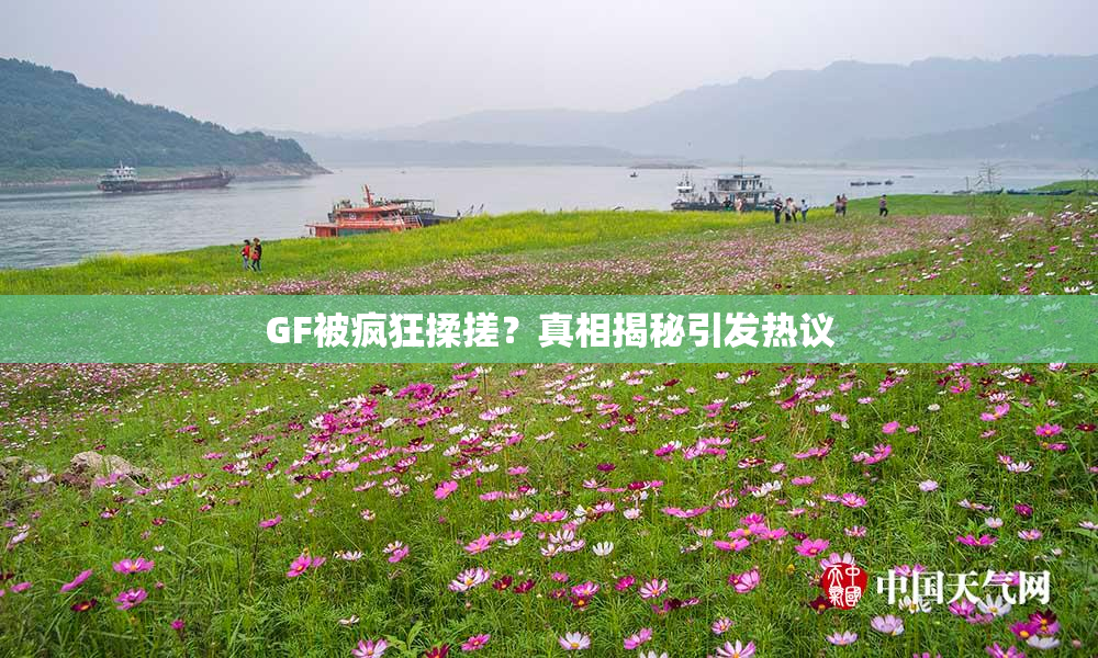 GF被疯狂揉搓？真相揭秘引发热议