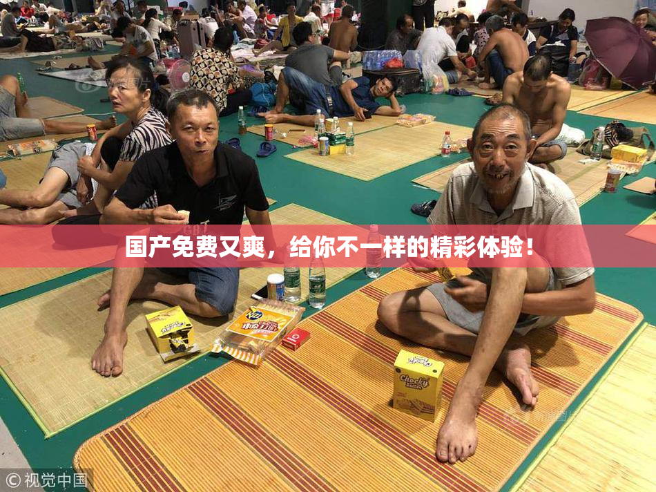 国产免费又爽，给你不一样的精彩体验！