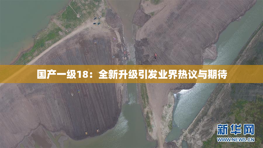 国产一级18：全新升级引发业界热议与期待