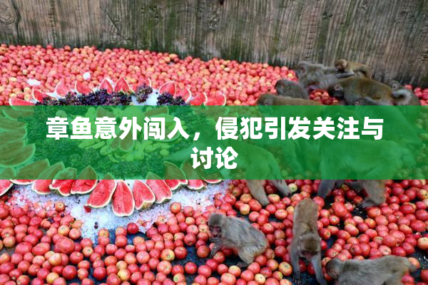 章鱼意外闯入，侵犯引发关注与讨论