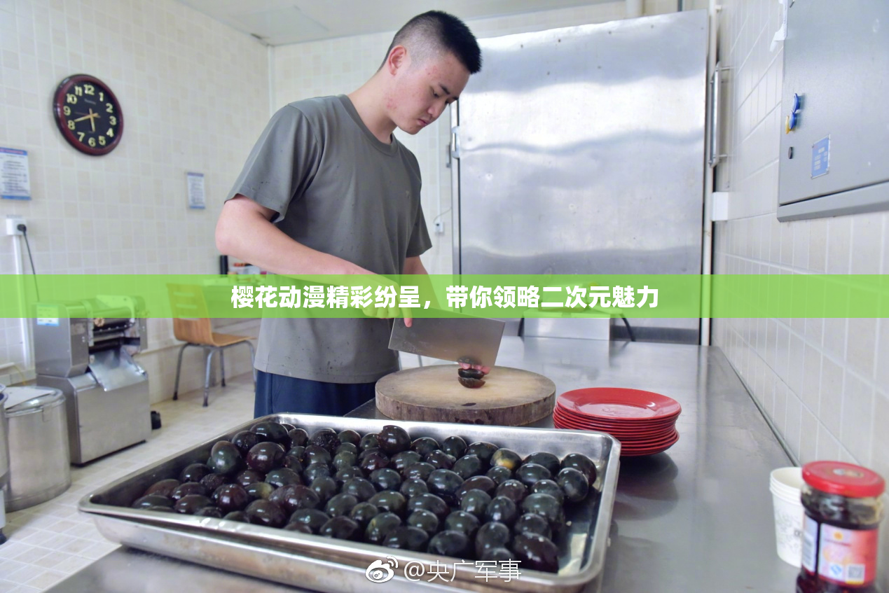 樱花动漫精彩纷呈，带你领略二次元魅力