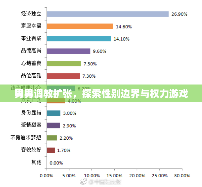 男男调教扩张，探索性别边界与权力游戏