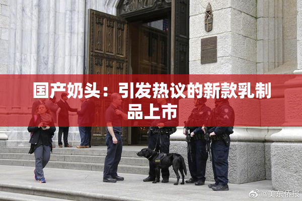 国产奶头：引发热议的新款乳制品上市