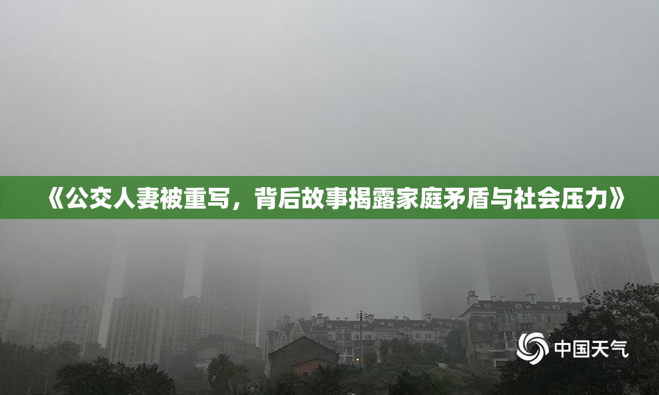 《公交人妻被重写，背后故事揭露家庭矛盾与社会压力》