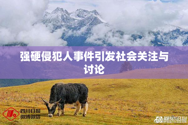 强硬侵犯人事件引发社会关注与讨论