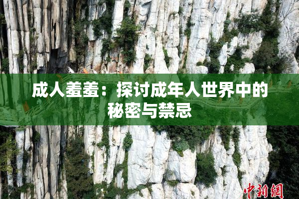 成人羞羞：探讨成年人世界中的秘密与禁忌