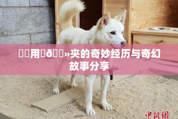 妺妺用‌🐻夹的奇妙经历与奇幻故事分享
