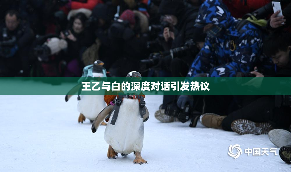 王乙与白的深度对话引发热议