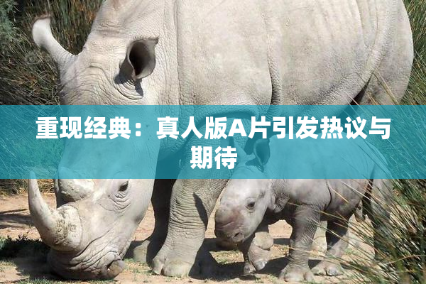 重现经典：真人版A片引发热议与期待