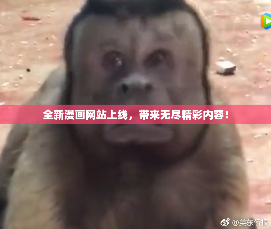 全新漫画网站上线，带来无尽精彩内容！
