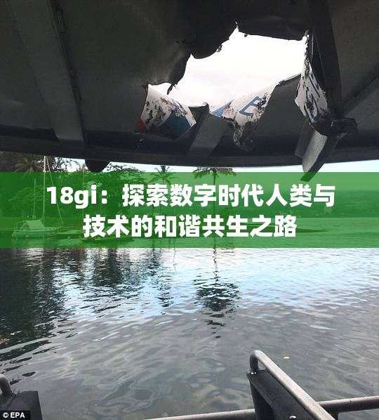 18gi：探索数字时代人类与技术的和谐共生之路