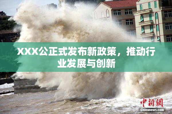 XXX公正式发布新政策，推动行业发展与创新