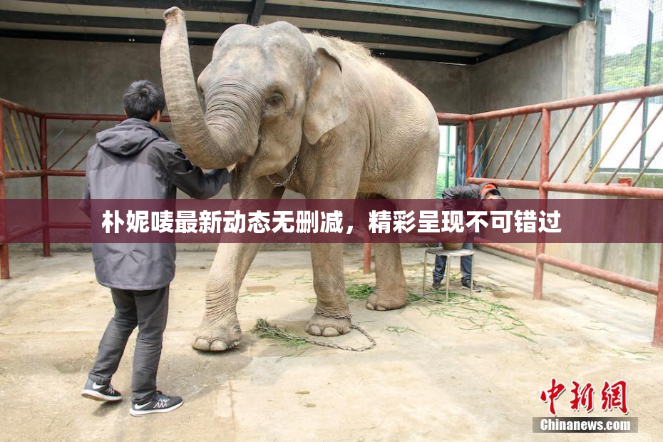 朴妮唛最新动态无删减，精彩呈现不可错过
