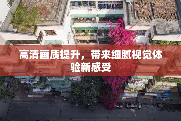 高清画质提升，带来细腻视觉体验新感受