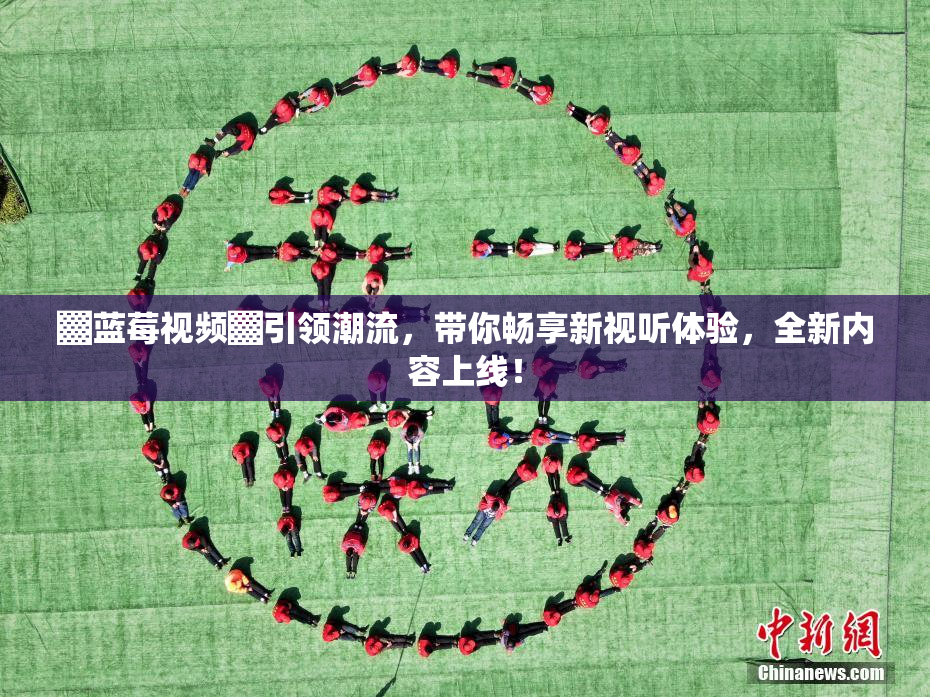 ▓蓝莓视频▓引领潮流，带你畅享新视听体验，全新内容上线！