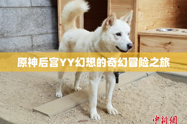 原神后宫YY幻想的奇幻冒险之旅