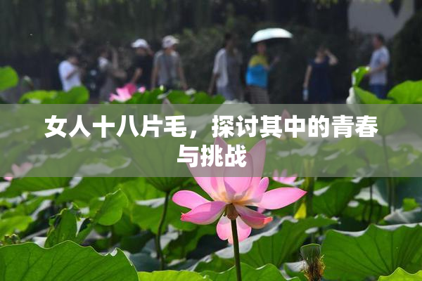 女人十八片毛，探讨其中的青春与挑战