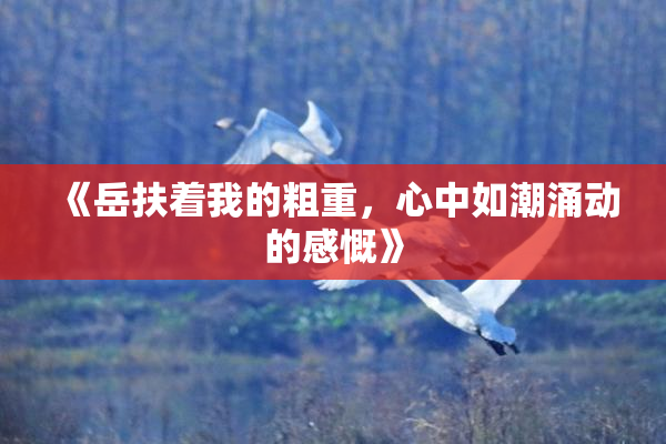 《岳扶着我的粗重，心中如潮涌动的感慨》