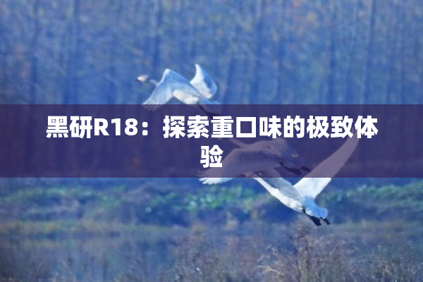 黑研R18：探索重口味的极致体验