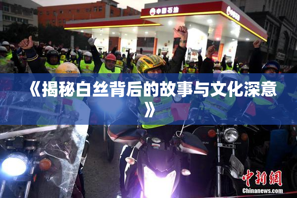 《揭秘白丝背后的故事与文化深意》