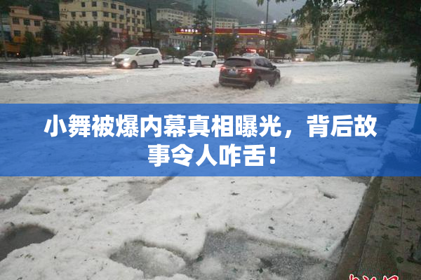 小舞被爆内幕真相曝光，背后故事令人咋舌！