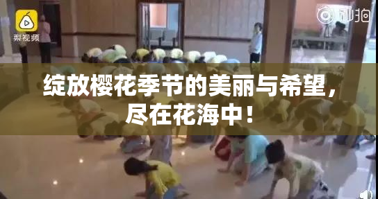 绽放樱花季节的美丽与希望，尽在花海中！