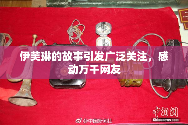 伊芙琳的故事引发广泛关注，感动万千网友