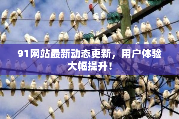 91网站最新动态更新，用户体验大幅提升！