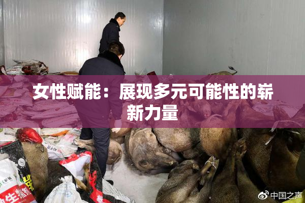 女性赋能：展现多元可能性的崭新力量