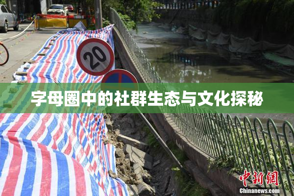 字母圈中的社群生态与文化探秘