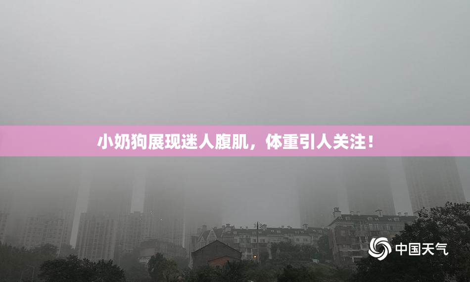 小奶狗展现迷人腹肌，体重引人关注！