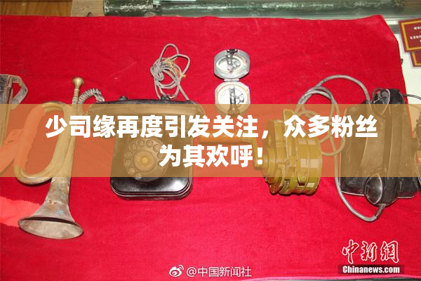 少司缘再度引发关注，众多粉丝为其欢呼！